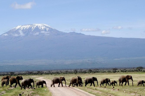 Nairobi: Safari di 6 giorni ai laghi della RiftValley e al Masai Mara con ...