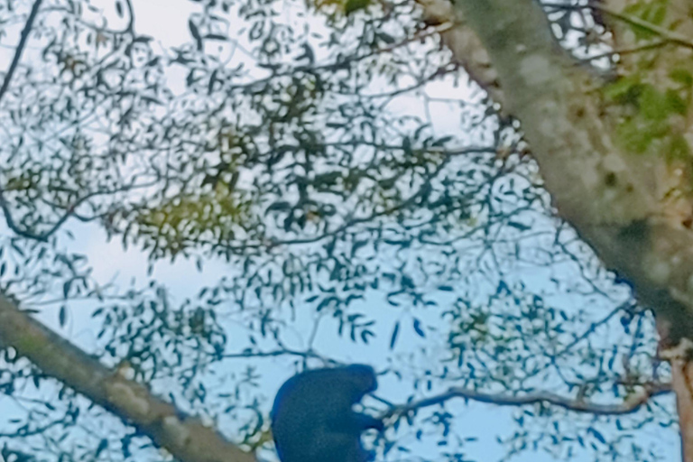 特特巴图：瀑布、香料、梯田、猴子森林特特巴图之旅、香料、瀑布、梯田、猴林