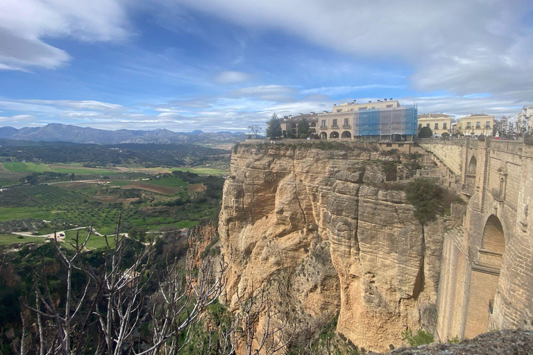 from Estepona, Marbella, Mijas: RONDA private tour incl. transportation and tapas