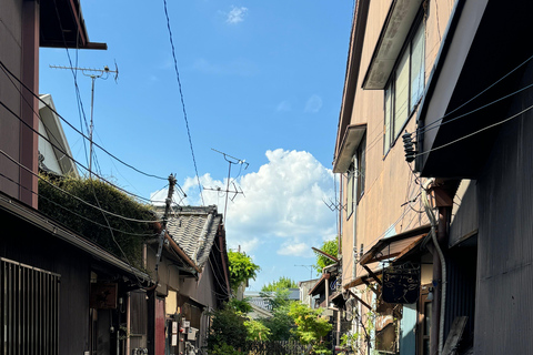 Nara: Templo Gangoji, Patrimonio de la Humanidad, y casco antiguo de Naramachi