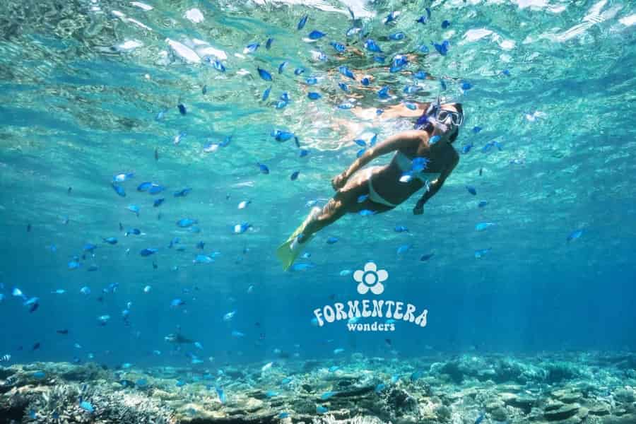 Ibiza: Formentera-Kreuzfahrt Frühstück, Paella, OpenBar & Sport. Foto: GetYourGuide