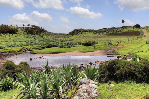 Addis Ababa: 4-Day Bale Mountains Adventure Tour