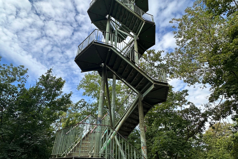Leipzig: Rosental Park Forest Bathing and Qigong Session