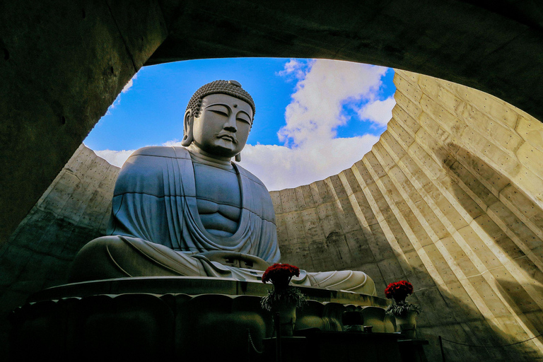 From Sapporo: Otaru and Hokkaido Shrine Day Trip Shared Tour, Meet at Sapporo Station