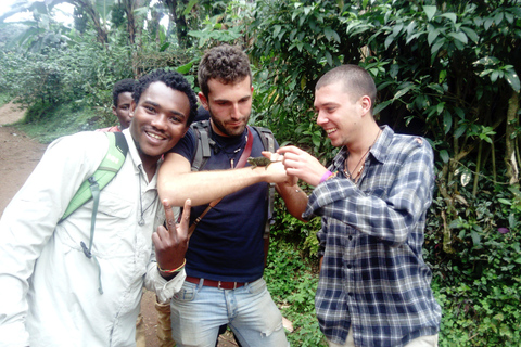 1 Day Marangu Waterfalls and Cultural Day Tour - Day Trips