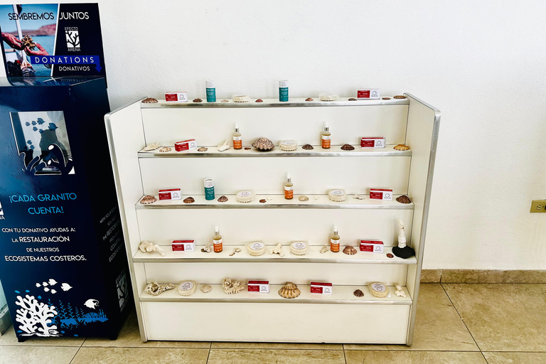 La Paz: Pearl Farm Experience and shop