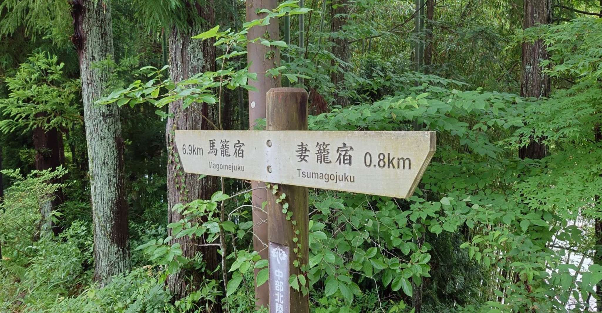 From Matsumoto/Nagano, Nakasendo Trail Walking Tour - Housity