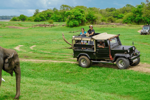 Sigiriya: Village Tour with Minneriya Jeep Safari