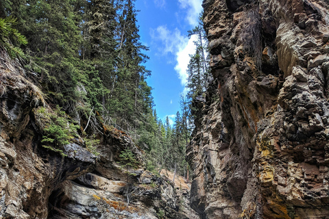 Banff & Yoho: Moraine, Louise, Emerald Lake, Canyon & Falls