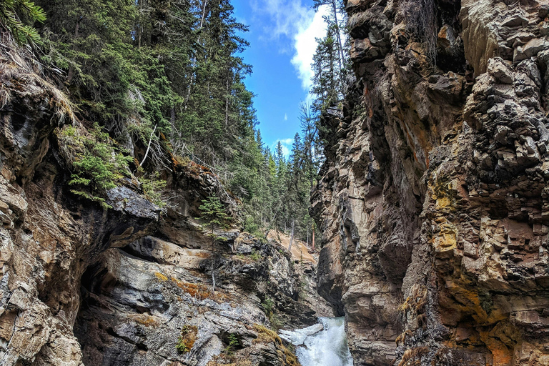 Banff & Yoho: Moraine, Louise, Emerald Lake, Canyon & Falls