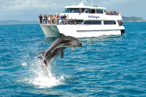 Auckland: Bay of Islands dagstur med guidad kryssning med delfiner