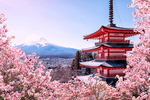 Tour privato di 4 giorni MT Fuji, Nikko, Hakone e TokyoTour privato di 4 giorni MT Fuji Nikko Hakone tokyo