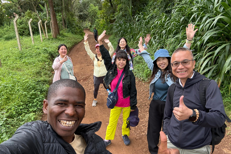 From Moshi: Marangu Chagga Caves & Waterfall & Coffee Tour