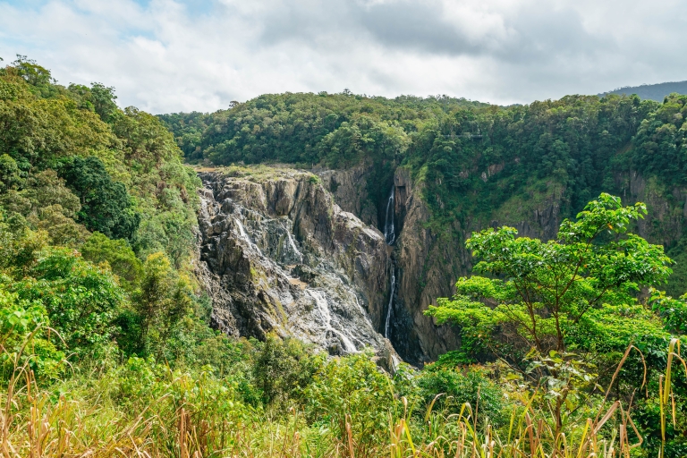 N. Queensland: Best of the Kuranda Rainforest Full-Day Tour Pick-up from Hotels in Cairns