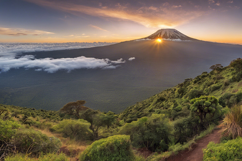 6 dagars Kilimanjaro Marangu Route vandring