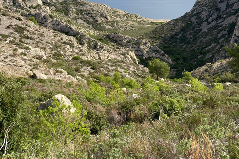 Calanques Ridge Trek with Panoramic Mediterranean Views