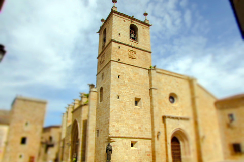 VISITA GUIADA CONCATEDRAL