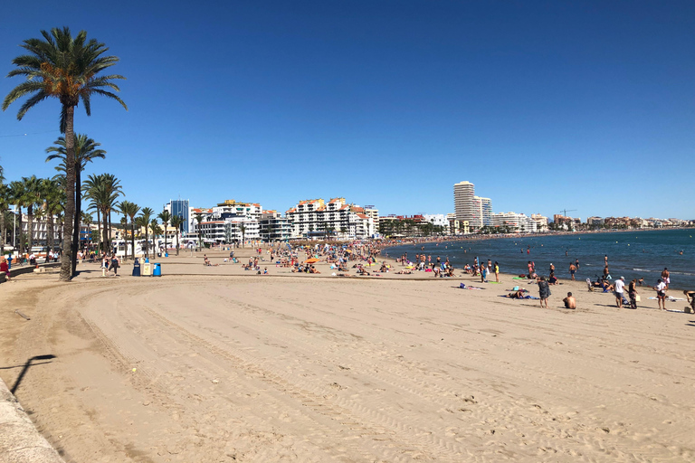 From Valencia: Day trip to Peniscola, (City, Castle & Beach) Discover Peñiscola in Van