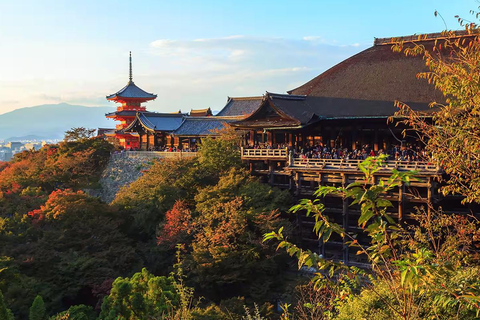 Kyoto Gion: tour a piedi di 2 ore sulla cultura e la storia delle geisha