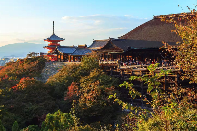 Kyoto Gion: tour a piedi di 2 ore sulla cultura e la storia delle geisha