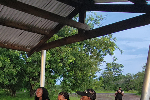 Livingstone: Rhino Sunset Safari with Snacks and Drinks