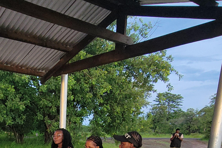 Livingstone: Rhino Sunset Safari with Snacks and Drinks