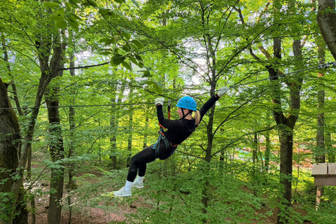 Kelkheim: Outdoor climbing experience in the forest ropes course with circuit and zip lines