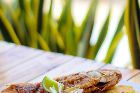 Cartagena: dia inteiro em uma cabana em Barú + almoço + coquetel de boas-vindas