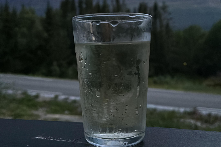 Narvik/Harstad : Excursion d&#039;une journée dans les Fjords avec arrêt à la ferme des rennes