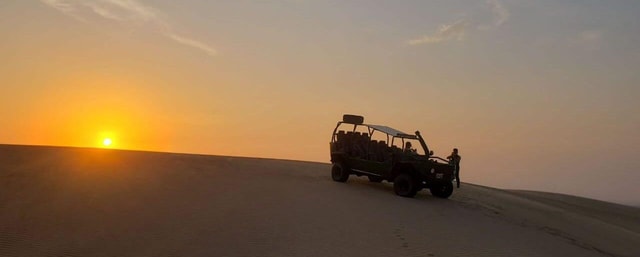 From Paracas: Sightseeing Tour to the Oasis of Costa Rica with Transfer Included
