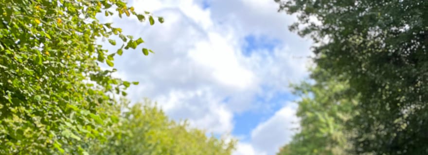 Excursion en E-Bike dans l'arrière-pays bordelais avec déjeuner et dégustation de vins