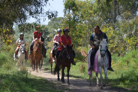 Pamucak: Horseback Riding Tour with Beach Swim