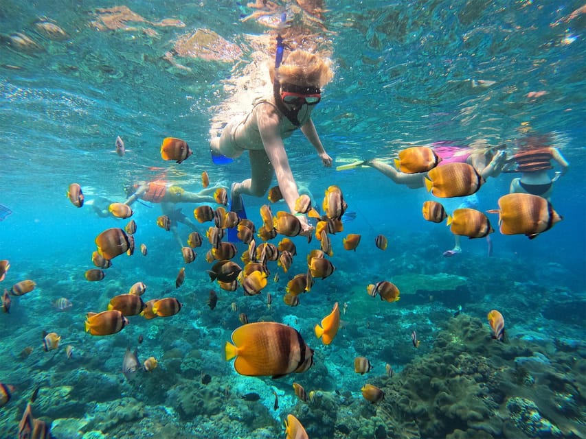 Nusa Penida Snorkelen met gids en zwemmen met Manta's cruise