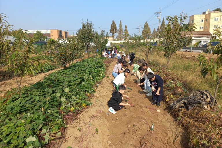 Seasonal Fruit Picking & Dream Cattle Farm Day Tour Hongik Univ. station, exit 9