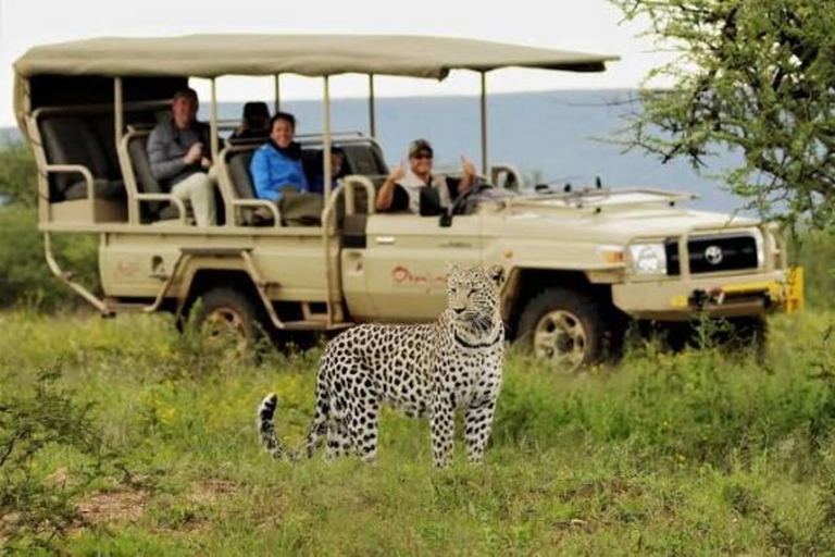 From Zanzibar:Mikumi Safari Day Trip with Flights and Lunch