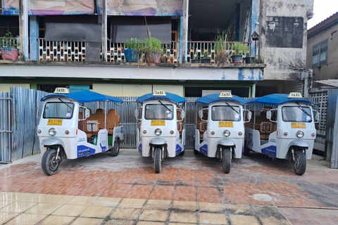 Visite autoguidée en tuk tuk électrique privé de temples emblématiques