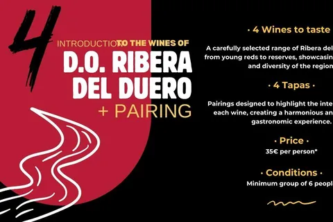 Ribera del Duero: Wine Tasting with Tapas Pairing