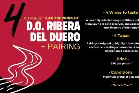 Ribera del Duero: Wine Tasting with Tapas Pairing