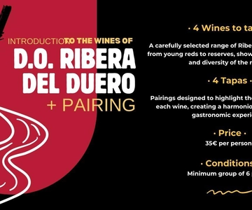Ribera del Duero: Wijnproeverij met tapas