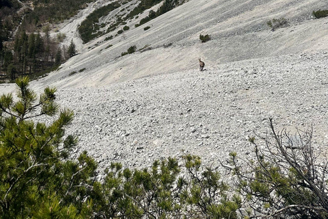 Innsbruck: private Abenteuertour mit Guide