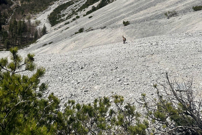 Innsbruck: private Abenteuertour mit Guide