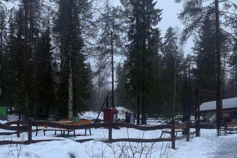 Rovaniemi: Ranua Zoo Guided Tour with Transfers