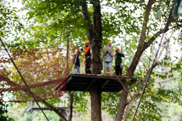 Chiang Mai: Pongyang Jungle Coaster and Zip Line Tour Package A + Transfer