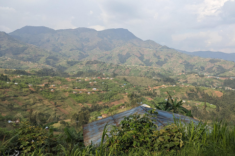 Kigali : Trekking au singe doré et transfert vers les Volcans ...