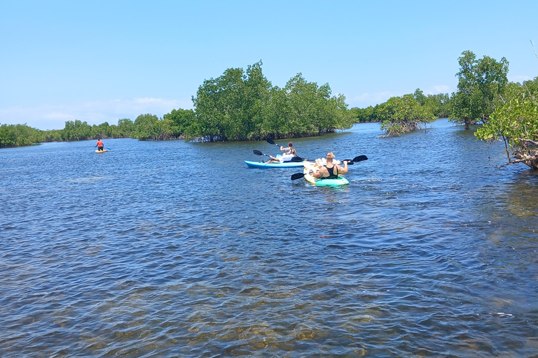 Explora el bosque de manglares en kayak en la isla Uzi