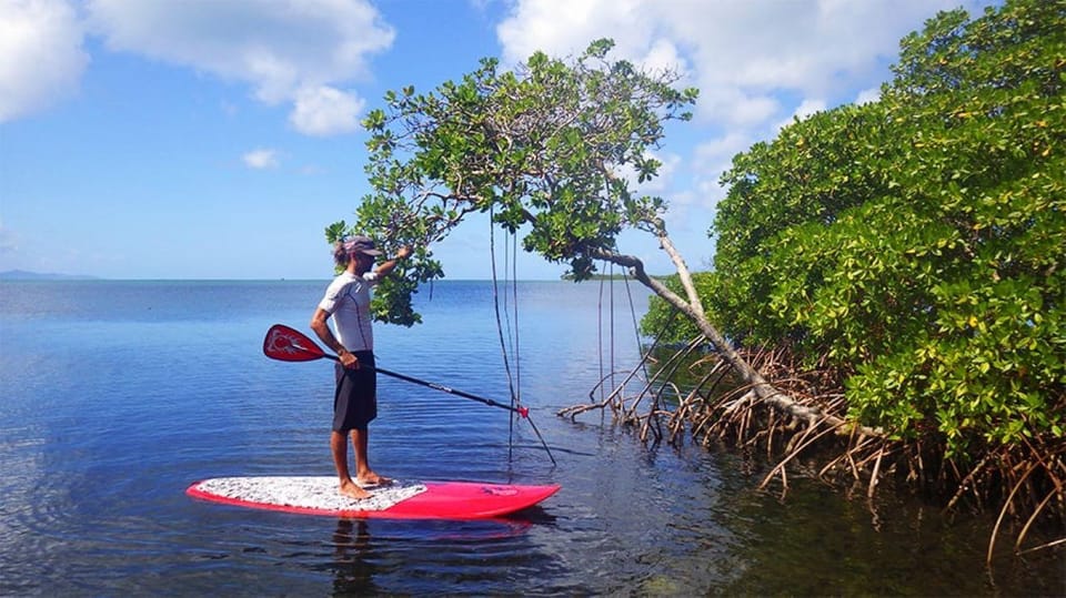 Guadeloupe StandUp Paddle Board Verleih GetYourGuide