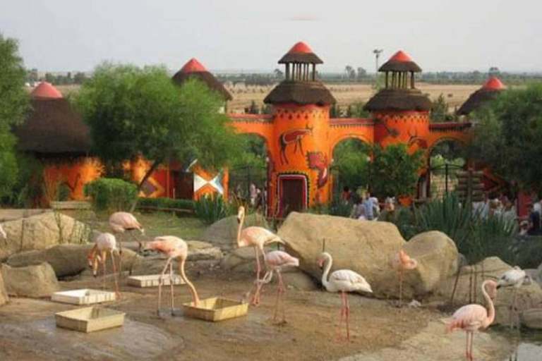 From Monastir & More: Friguia Wildlife Park with Entry From Sousse : Friguia Wildlife Park