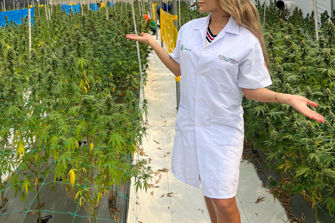 Medellín: Medical Cannabis Industry Tour with Lab & Lunch