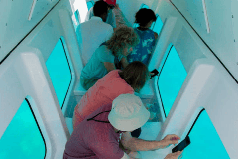 Zanzibar: tour in semisommergibile con vista subacqueaZanzibar: tour in semi-sottomarino con vista subacquea