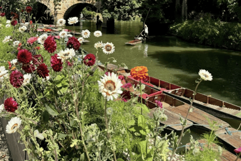 Tour en bateau sur la rivière Cherwell